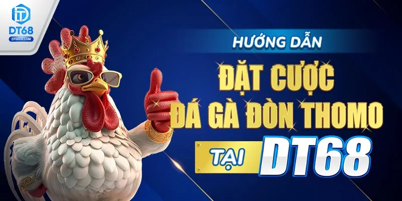 Hướng dẫn đặt cược Đá gà đòn Thomo tại DT68