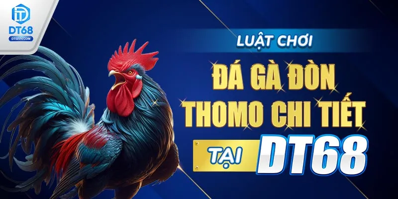 Luật chơi Đá gà đòn Thomo chi tiết tại DT68. 